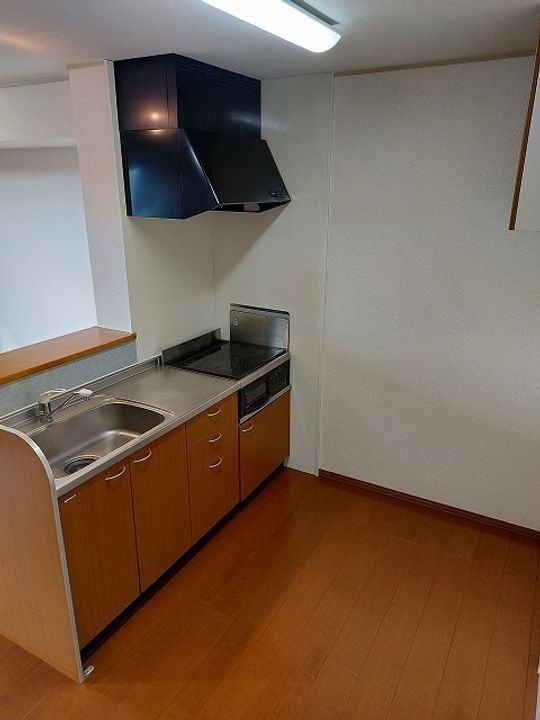 新潟県新潟市中央区大島(アパート)の賃貸物件のキッチン