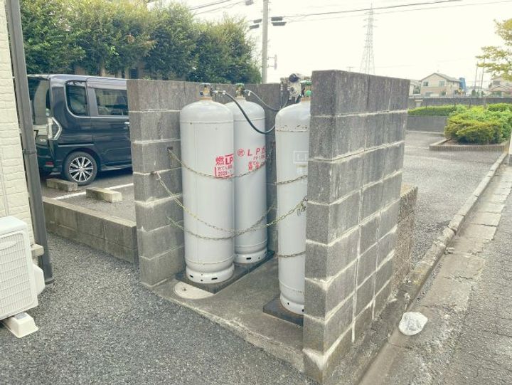 レットビのその他画像