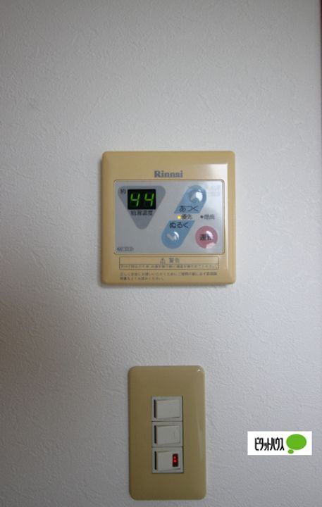 グリーンマンションの内装