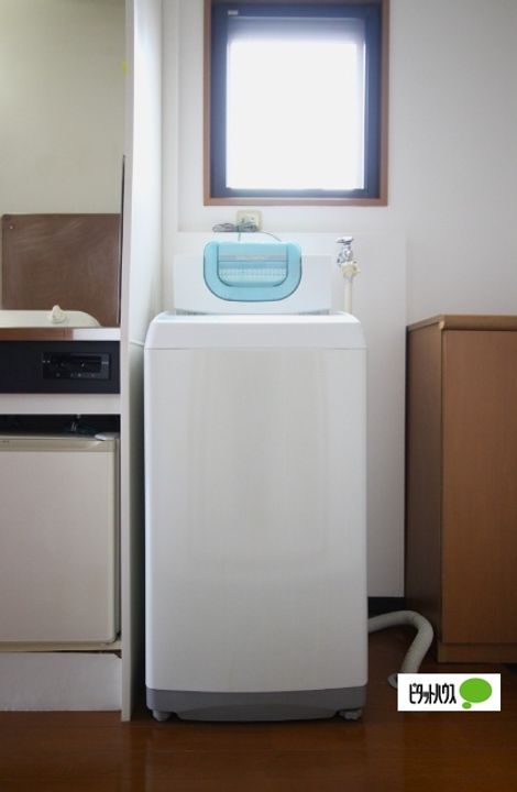 グリーンマンションの内装