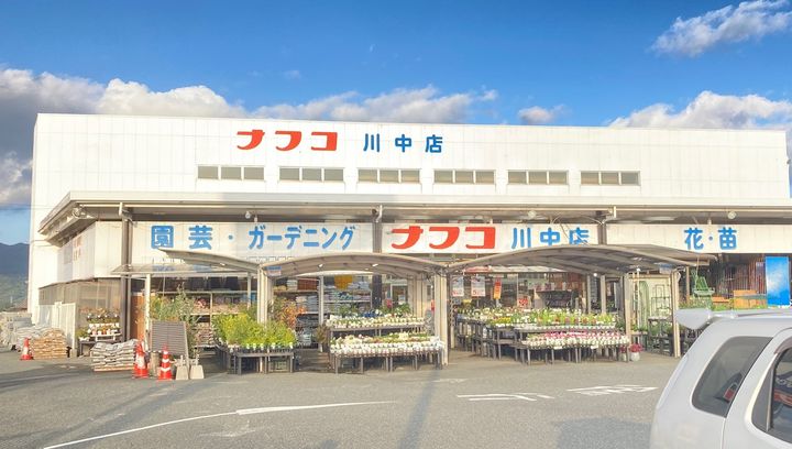 サングリッターの周辺