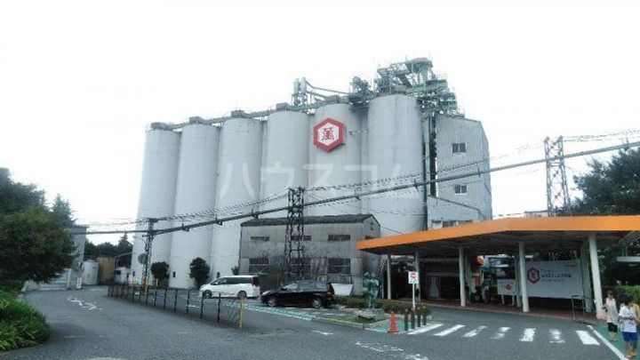 千葉県野田市野田(一戸建)の賃貸物件の周辺