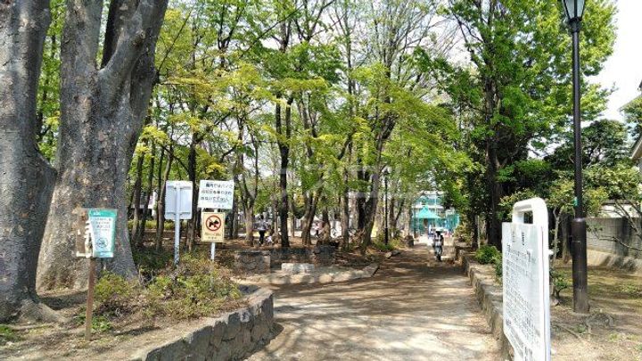 コンフォートテラス久我山の周辺