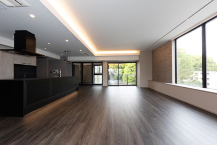 東京都渋谷区広尾3(マンション)の賃貸物件の居間