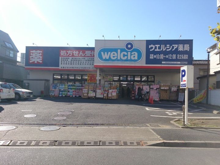 セレスティア西綾瀬の周辺