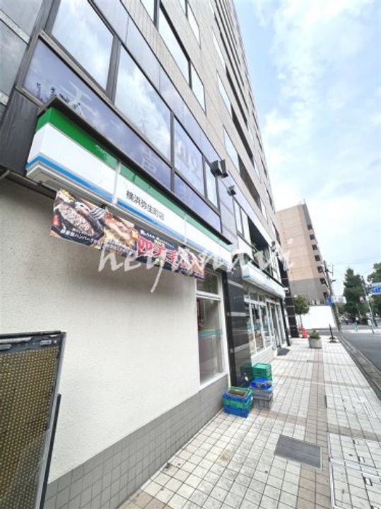 パークアクシス横濱大通り公園の周辺