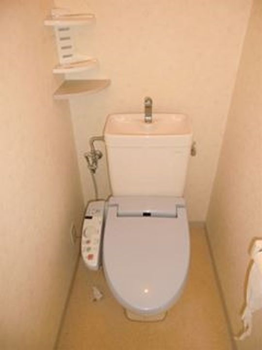 埼玉県東松山市神明町1(マンション)の賃貸物件の内装