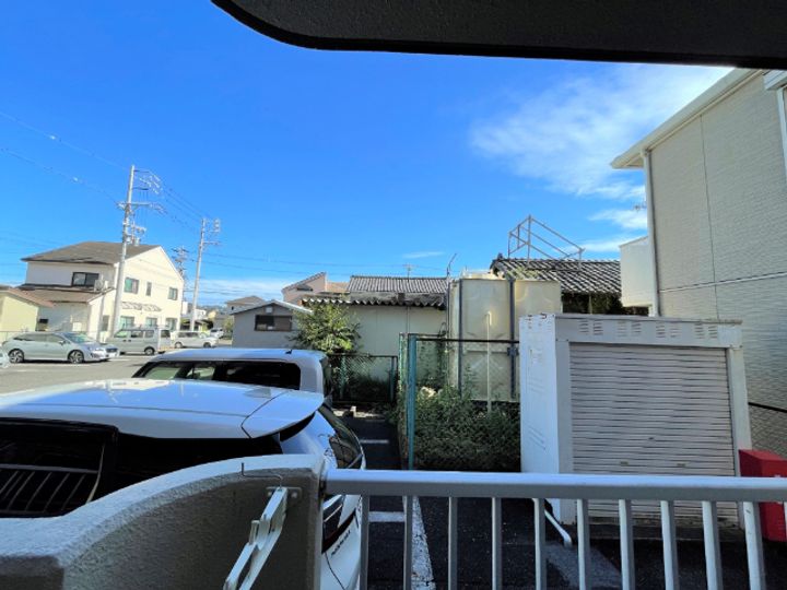 セントポーリアのその他画像