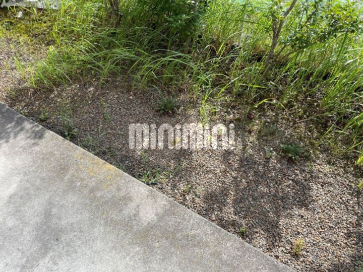 レストクラストの内装