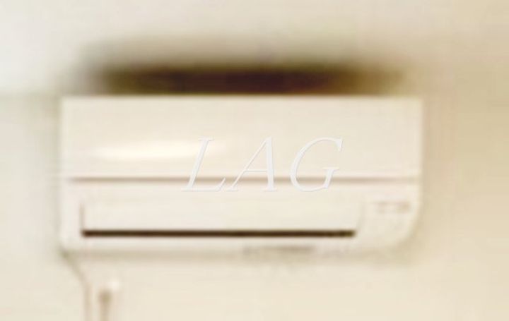 神奈川県川崎市多摩区菅4(アパート)の賃貸物件の内装