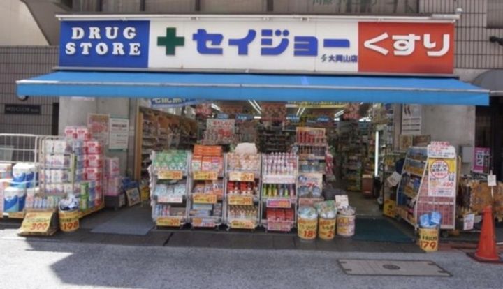 カルム大岡山の周辺