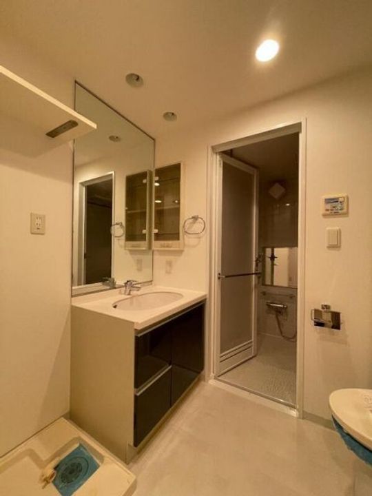 東京都大田区北千束2(マンション)の賃貸物件の玄関