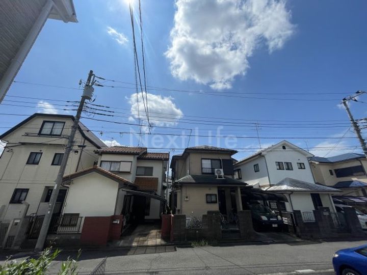 ウィルのその他画像