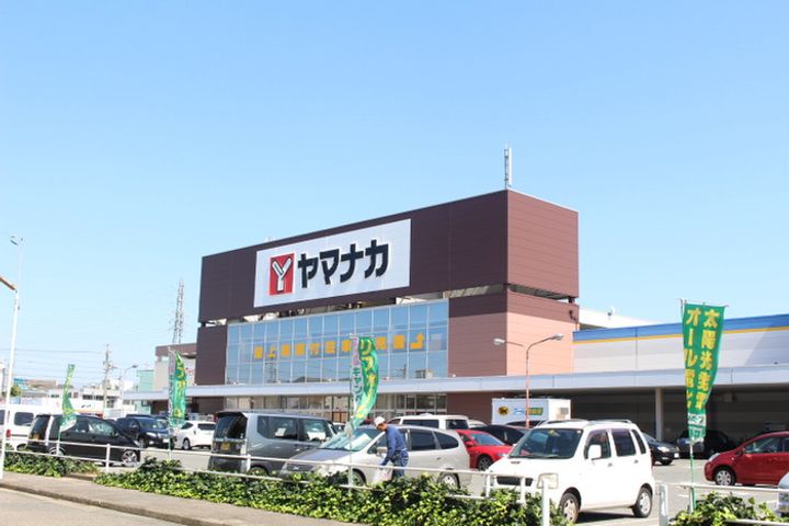 ベル ツリーの周辺