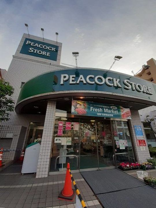 リヴェール桜新町の周辺