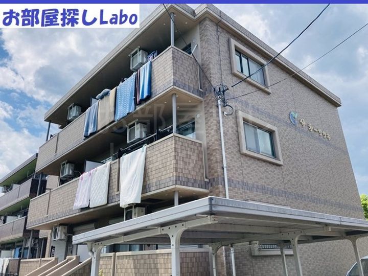 神奈川県小田原市堀之内(マンション)の賃貸物件の外観