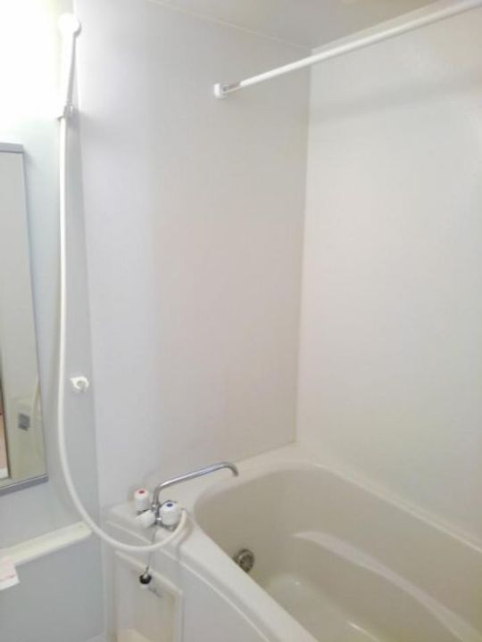 プラシード・パラッツオの風呂