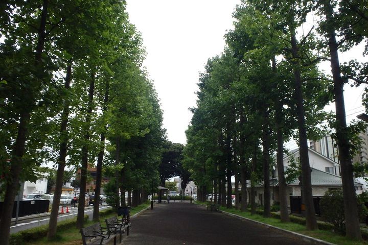 リヴィエールの周辺