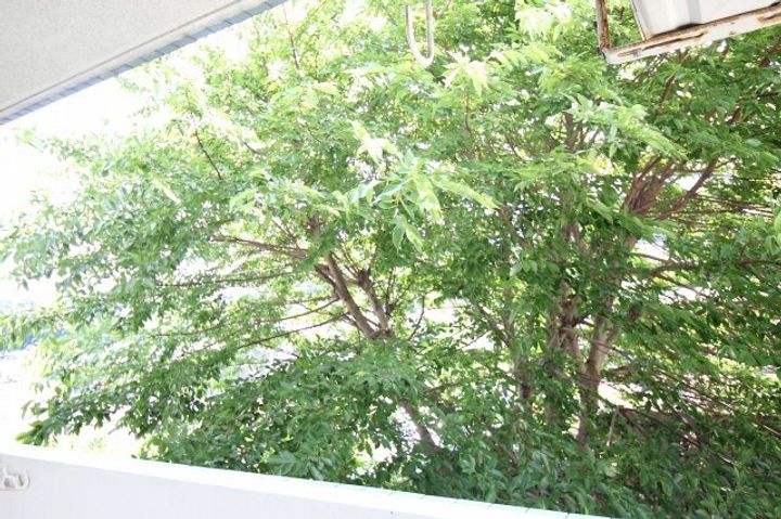 リマーカーブル己斐のその他画像