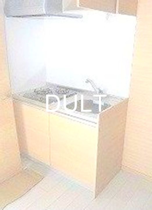 東京都豊島区東池袋5(マンション)の賃貸物件のキッチン