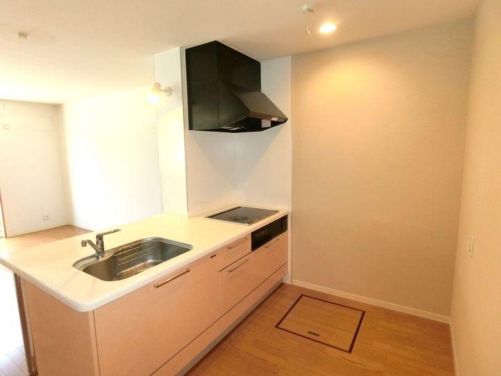 大阪府大阪市住之江区西加賀屋3(マンション)の賃貸物件のキッチン