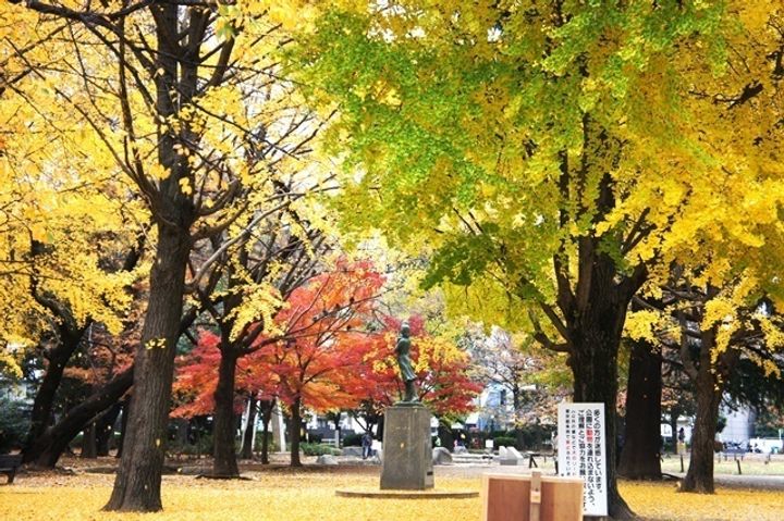 上板橋ステーションコートの周辺