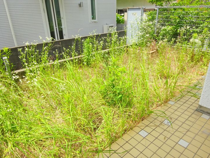 大阪府豊中市緑丘5(一戸建)の賃貸物件の内装