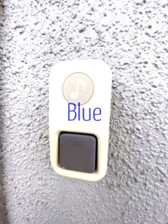 神奈川県藤沢市亀井野2(アパート)の賃貸物件の内装
