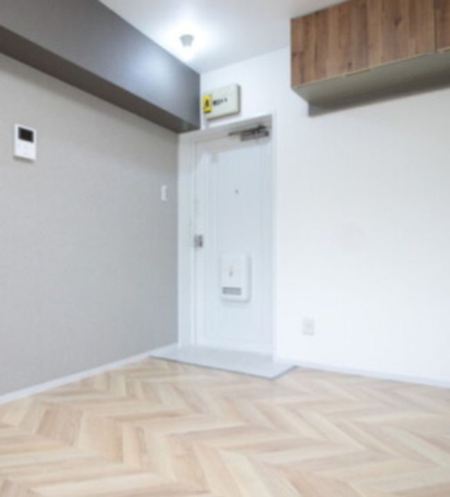 東京都世田谷区玉川4(マンション)の賃貸物件の玄関