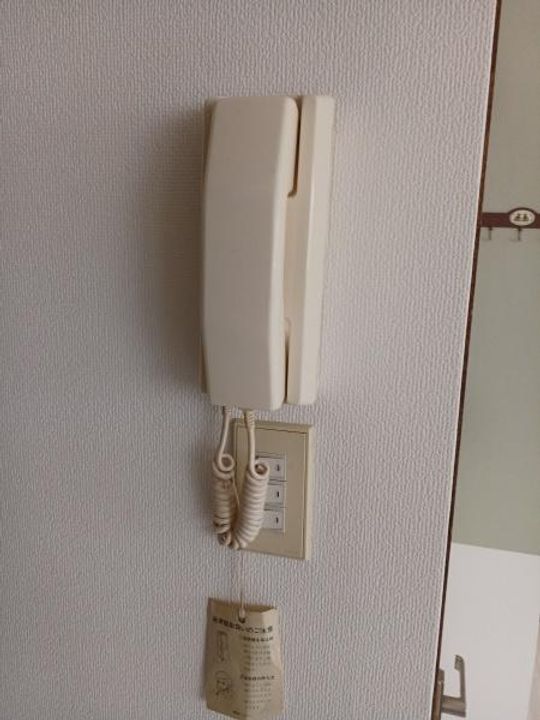 ファーストライブの内装