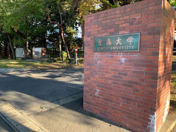 GalleryーSIの周辺