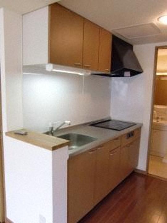 北海道札幌市北区新琴似十一条14(マンション)の賃貸物件のキッチン