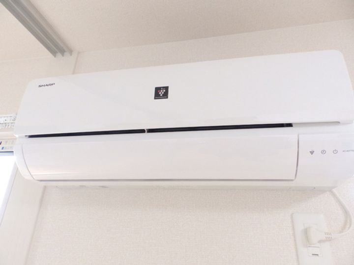 ソフィアの内装