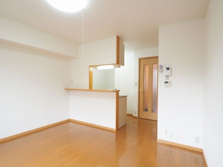 プラシードのその他画像