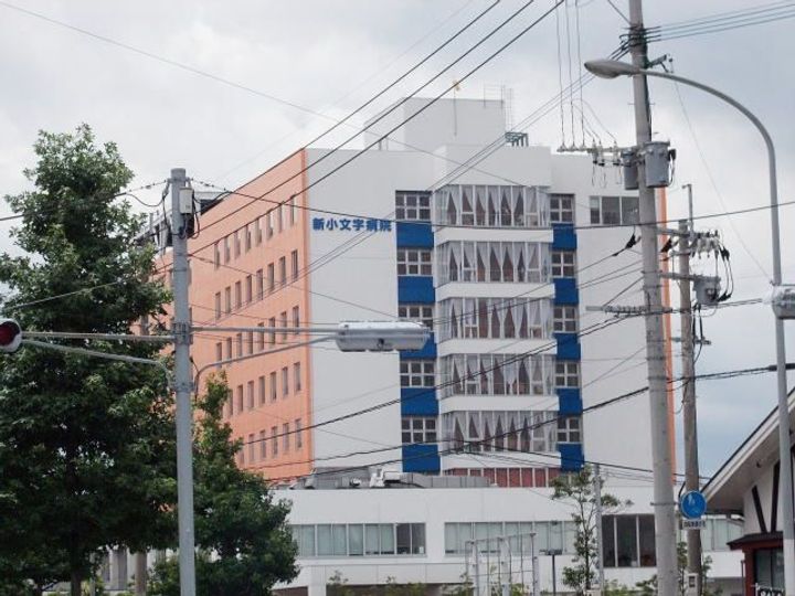 プラシードの周辺