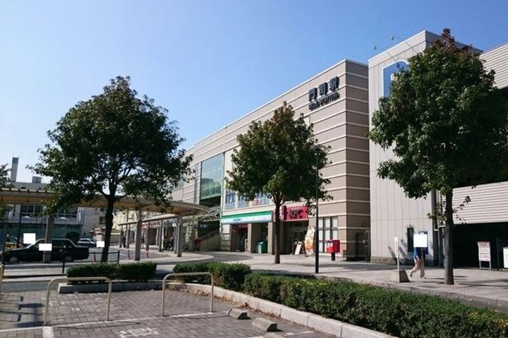 プラシードの周辺