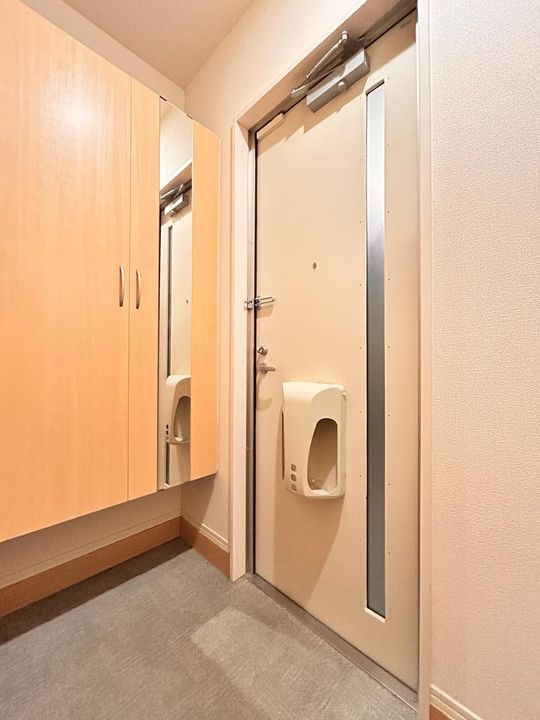 広島県東広島市西条町助実(マンション)の賃貸物件の玄関