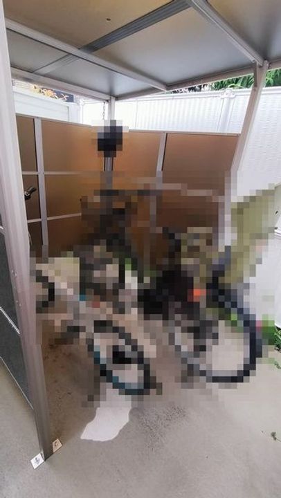 芦屋市津知町 ワンルームのその他画像