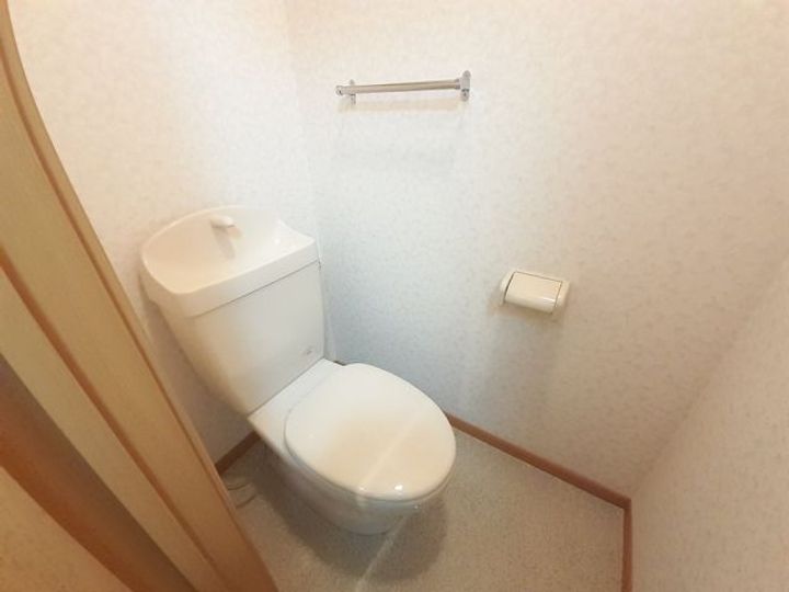 大阪府大阪狭山市茱萸木3(アパート)の賃貸物件の内装