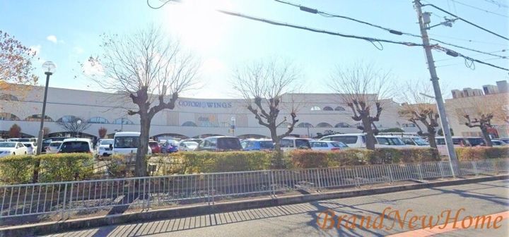 エバンジェルの周辺