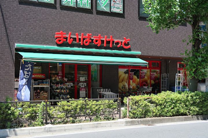 コートレジデンス武蔵中原の周辺