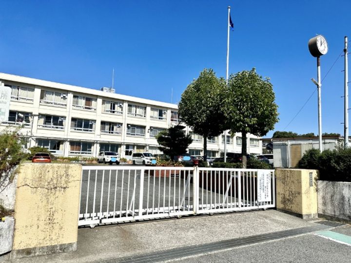 ホワイトミューズの周辺