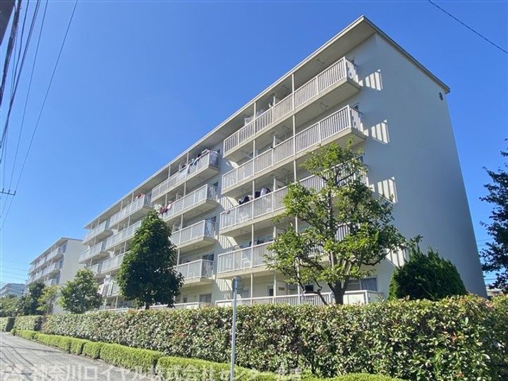 東本郷12号棟の外観