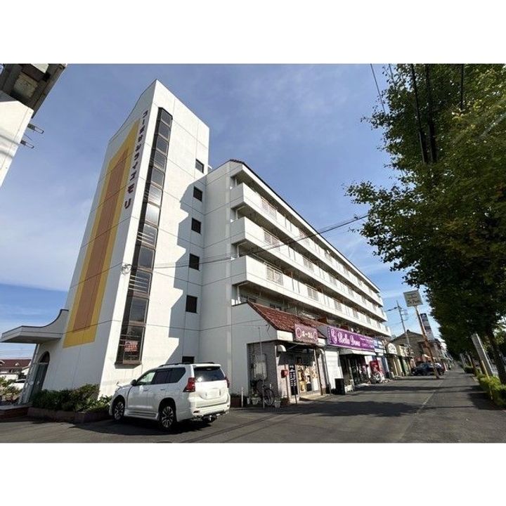 群馬県邑楽郡大泉町坂田4(マンション)の賃貸物件の外観