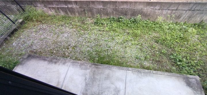 ハイランドコートIIの内装