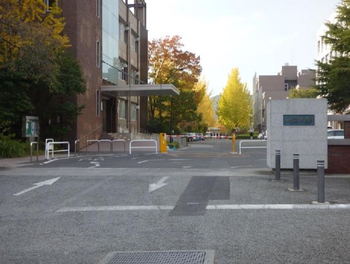 ダイヤマンションの周辺