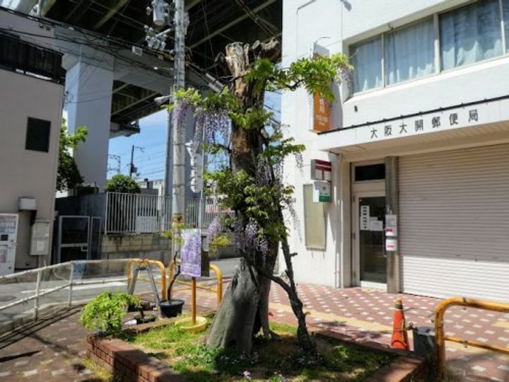 ジュネーゼグラン福島EBIEの周辺