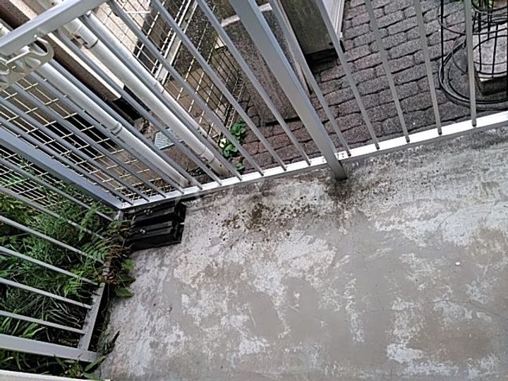 GREEN BOX HIRAIの内装