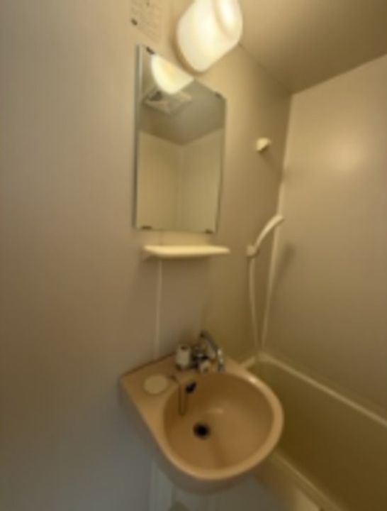 レオパレスピュアグリーンIIの内装