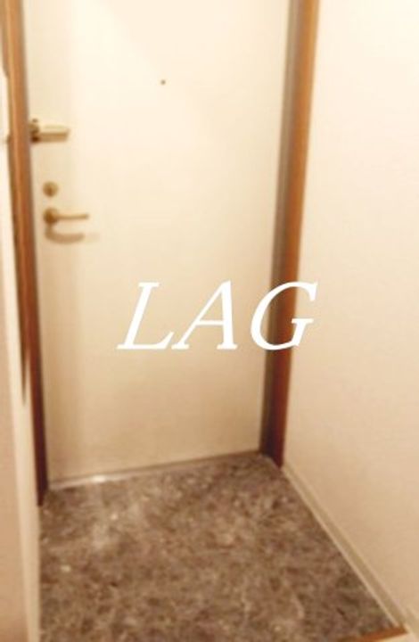 東京都日野市新町1(マンション)の賃貸物件の玄関